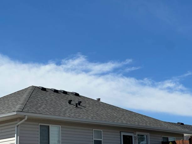 Best Metal Roofing Installation  in Mahanoy City, PA